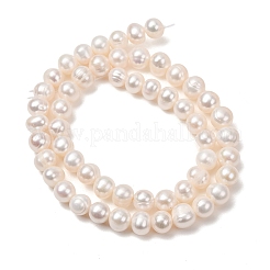 Fili di perle di perle d'acqua dolce coltivate naturali&nbsp;PA-CBABE82-06D