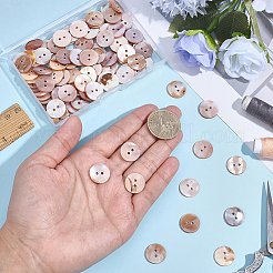 100 Stück natürliche Muschelknöpfe&nbsp;BUTT-ME0001-24B