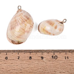 Galvanische natürliche Spiralschalenanhänger&nbsp;SSHEL-Q100-35G