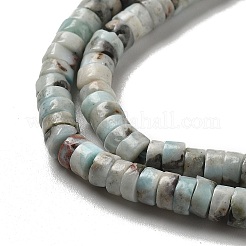 Abalorios naturales larimar hebras&nbsp;G-Q024-B03-01
