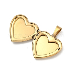 Pendentifs médaillons en acier inoxydable 304&nbsp;STAS-H255-02G-02