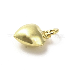 925 ciondoli in argento sterling&nbsp;LS-STER-P057-07C-G