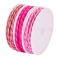 Cordon tressé en polyester 10.5 couleurs de 3 m&nbsp;OCOR-TA0003-83C