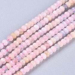 Chapelets de perles en morganite naturelle, rondelle, facette, 3x2mm, Trou: 0.7mm, Environ 188 pcs/chapelet, 15.35 pouce (39 cm)