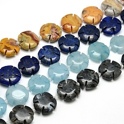 Mixed Natural Gemstone Flower Bead Strands, 18x6.5mm, Hole: 1mm, about 22pcs/strand, 15.74 inch