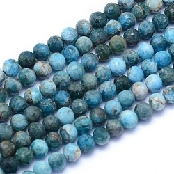 Chapelets de perles en apatite naturelle, facette, ronde, 5.5~6mm, Trou: 0.7mm, Environ 65 pcs/chapelet, 15.35 pouce (39 cm)