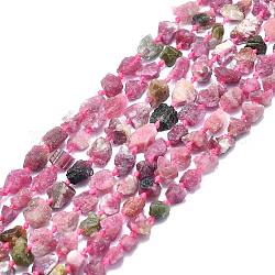 Chapelets de perles en tourmaline naturelle, pépites, 7~14x6~8.5x5~7mm, Trou: 1mm, Environ 39 pcs/chapelet, 15.55 pouce (39.5 cm)