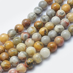 Natur verrückt Achat Perlen Stränge, Runde, 8 mm, Bohrung: 2 mm, ca. 48 Stk. / Strang, 15.3 Zoll