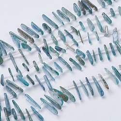 Fili di perline naturali di cianite / cianite / distene, 9~35x4~6x2mm, Foro: 1 mm, circa 30~44pcs/filo, 15.7 pollice