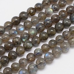 Natural Labradorite Round Bead Strands, Grade A, 8mm, Hole: 1mm, about 50pcs/strand, 15.5 inch