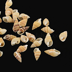 Cuentas de concha de caracol naturales, ningún agujero, Perú, 10~20x5~10x5~10mm, aproximamente 1700 unidades / 500 g