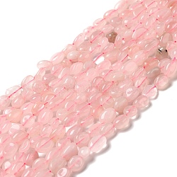 Chapelets de perles en quartz rose naturel, pépites, 8~14x6~8x4~8mm, Trou: 1mm, Environ 46~48 pcs/chapelet, 39~39.5 cm