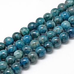 Natural Apatite Beads Strands, Round, 10mm, Hole: 1mm, about 40pcs/strand, 15.7 inch