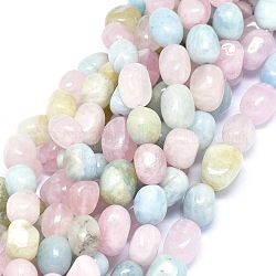 Chapelets de perles en morganite naturelle, ovale, 11~14x8.5~11mm, Trou: 1.2mm, Environ 29~33 pcs/chapelet, 15.3 pouce