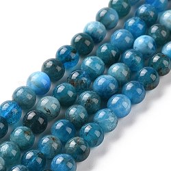 Chapelets de perles en apatite naturelle, ronde, 5.5mm, Trou: 1mm, Environ 74 pcs/chapelet, 16.1 pouce (41 cm)