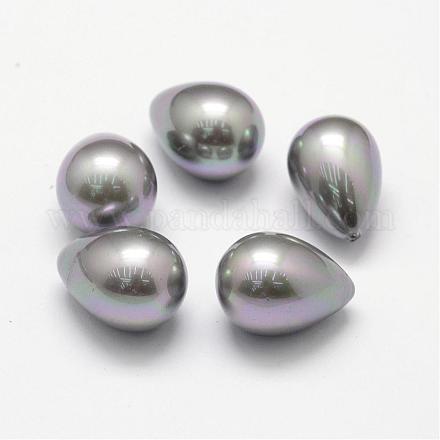 Perlas de concha de arco iris plateado BSHE-L032-03-1