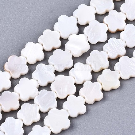 Eau douce naturelle de coquillage perles brins SHEL-S276-111-1