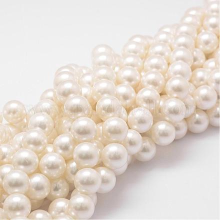 Cuentas perlas de concha de perla BSHE-L026-03-14mm-1