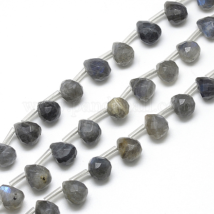 Chapelets de perles en labradorite naturelle  G-R435-15G-1