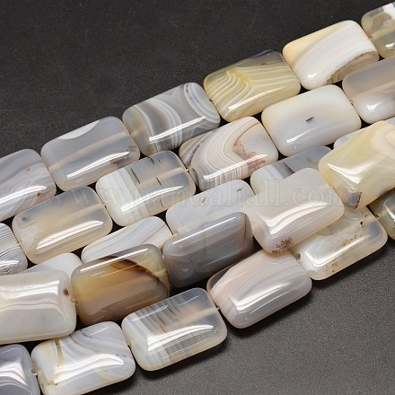 Natural Dendritic Agate Rectangle Bead Strands G-M257-30x22mm-16-1