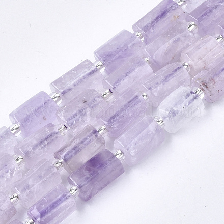 Natural Amethyst Beads Strands G-S345-8x11-015-1