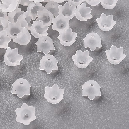 Bouchons transparents en acrylique PL543-1-1
