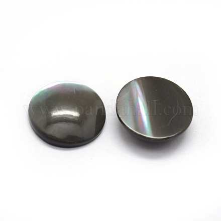 Cabuchones naturales shell BSHE-E566-01-14mm-1