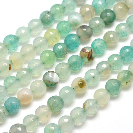 Dyed Natural Agate Faceted Round Beads Strands G-E267-06-1