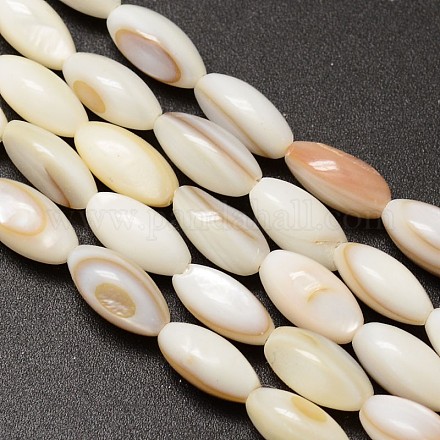 Brins de perles de riz en coquille d'eau douce naturelle SHEL-M014-01-1
