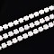 Iron Rhinestone Cup Chains, with Spool, White, 2.8x3x2.5mm, about 29.99 Feet(9.14m)/Roll