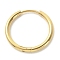 316L Surgical Stainless Steel Huggie Hoop Earrings for Girl Women, Golden, 12 Gauge, 20~20.5x2mm, Pin: 0.9mm