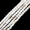 Natural Freshwater Shell Beads Strands, Peanut, Seashell Color, 5.5~6x3~3.5mm, Hole: 0.5mm, about 65~66pcs/strand, 14.57~15.16''(37~38.5cm)