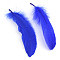 Goose Feather Costume Accessories, Dyed, Blue, 160~215x36~47mm