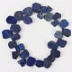 Tiras de cuentas de piedras preciosas de lapislázuli teñidas & naturales G-E217-06-2