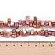 Eau douce naturelle de coquillage perles brins&nbsp;BSHE-H018-07-5