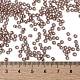 TOHO Round Seed Beads SEED-XTR08-1850-4
