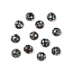 Coquille d'ormeau synthétique/perles de coquille de paua SSHEL-K001-001C-3
