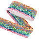 FINGERINSPIRE 4 Yards Nylon Elastic Band 2inch Wide Sewing Elastic Bands Flat with Letters Pattern Elastic Band Colorful Elastic Lace Trim for Dress Waistband Wig Bands Sewing Accessories SRIB-FG0001-12B-1