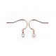 304 Stainless Steel Earring Hooks STAS-P210-22RG-2