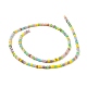 Faceted Glass Beads Strands GLAA-G074-A04-3