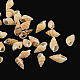 Perles de coquillage en spirale naturelle SSHEL-R036-15