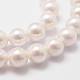 Rainbow Plated Shell Pearl Bead Strands X-BSHE-L025-02-6mm-3
