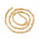 Fili di perline di conchiglia giallo dorato naturale SSHEL-G029-01B-2