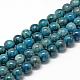 Natural Apatite Beads Strands G-R446-10mm-11-1