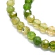 Natural Tourmaline Beads Strands G-P457-A02-14G-2