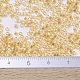 Perline miyuki delica piccole X-SEED-J020-DBS0100-4