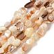 Naturali di mare shell perle fili SHEL-K006-16B-1
