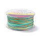 Segment Dyed Polyester Thread NWIR-I013-D-20-1