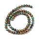 Natural Chrysocolla Beads Strands G-I318-09E-4