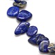 Natural Lapis Lazuli Beads Strands G-P034-03-2